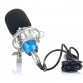 BM-800 Condenser Microphone Professional 3.5mm With Metal Shock Mount Microphone For Video Recording Studio Computer BM 80032790335104