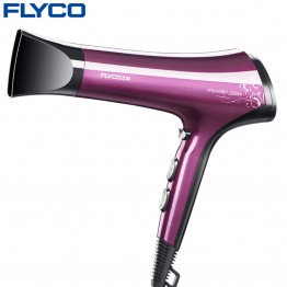 FLYCO New Professional Hot and Cold Wind Blow Dryer 2200W Hair Dryer for Salon Thermostatic Styling Tools Household 220V FH6273
