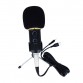 MK-F200TL Professional Microphone USB Condenser Microphone for Video Recording Karaoke Radio Studio Microphone for PC Computer