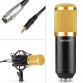 Neewer  NW-800 Professional Studio Microphone Set:Mic+Mic Shock Mount+Anti-wind Cap+Mic Power Cable for Recording KTV Karaoke