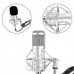 Professional KTV Microphone bm 800 BM800 Condenser Cardioid Pro Audio Studio Vocal Recording Mic KTV Karaoke+ Metal Shock Mount